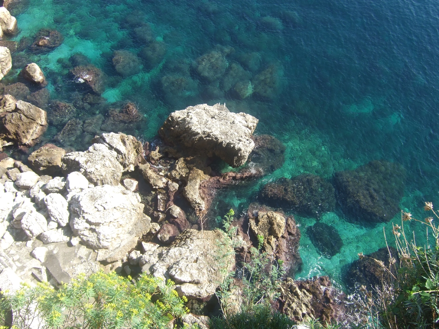 A bird's eye view